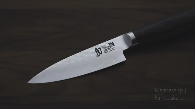TDM1700-1.jpg