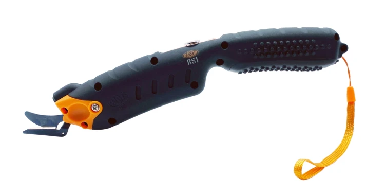 RS1.jpg