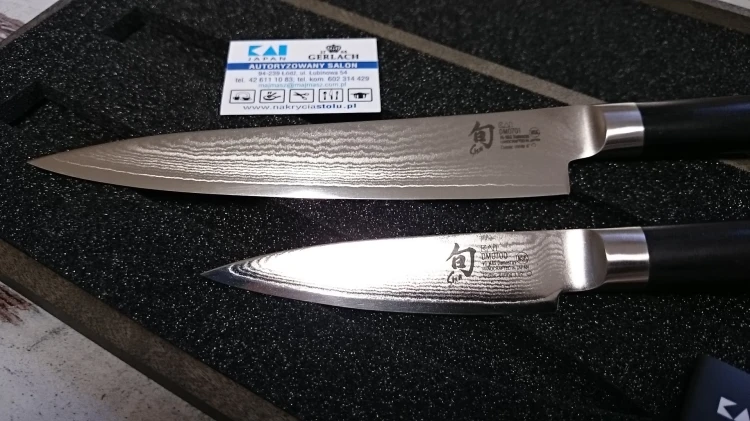 DMS210a (4).JPG